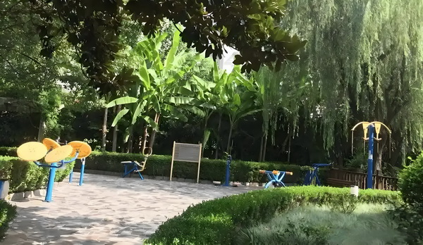百变魔女：霸上大律师